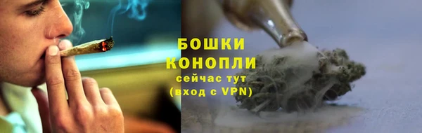 ГАЛЛЮЦИНОГЕННЫЕ ГРИБЫ Абаза
