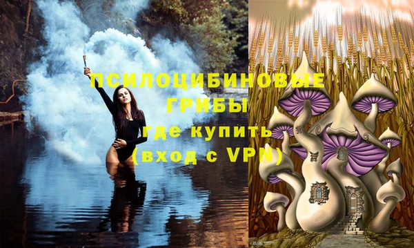 a pvp Абинск
