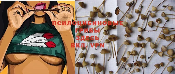 a pvp Абинск