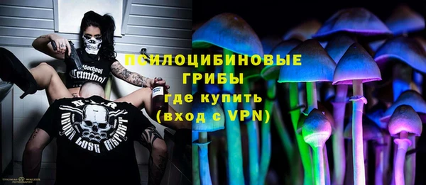 ГАЛЛЮЦИНОГЕННЫЕ ГРИБЫ Абаза