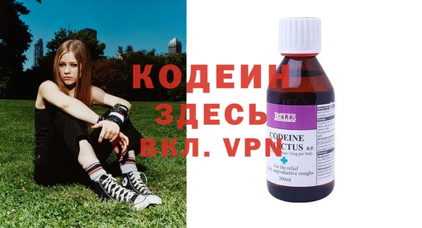 ГАЛЛЮЦИНОГЕННЫЕ ГРИБЫ Абаза