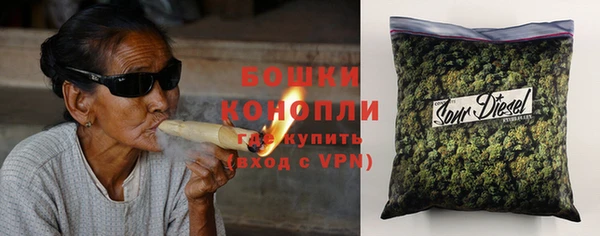 ГАЛЛЮЦИНОГЕННЫЕ ГРИБЫ Абаза