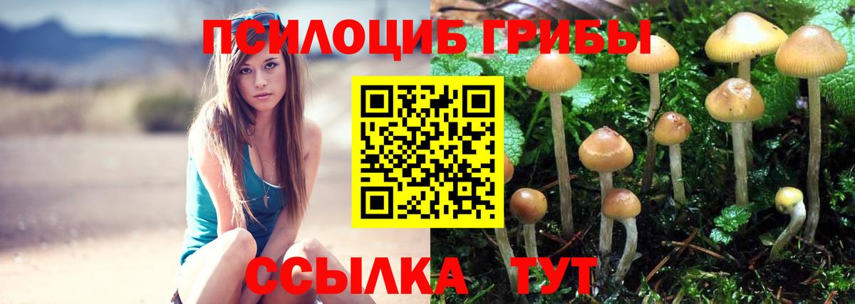 Галлюциногенные грибы Cubensis Зеленокумск